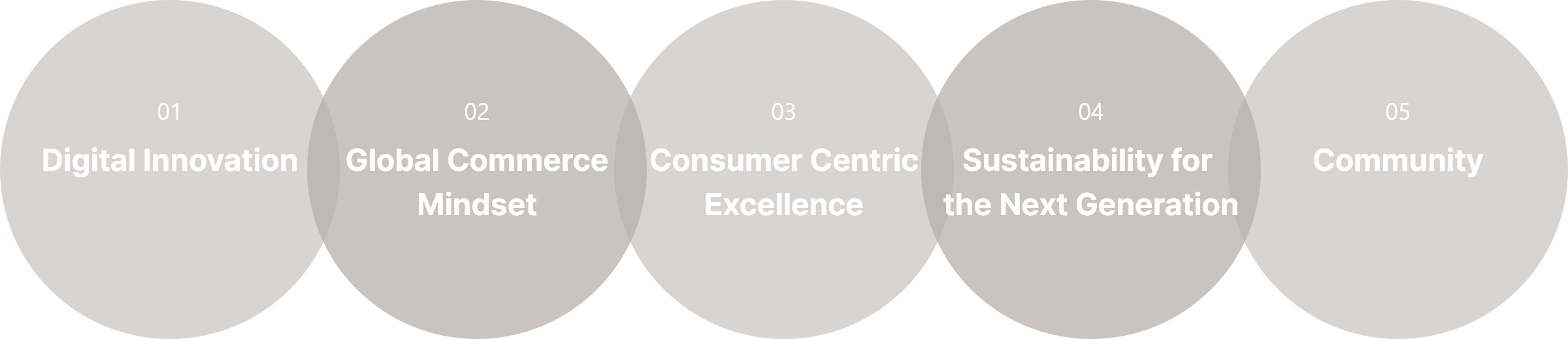 01 Digital Innovation / 02 Global Commerce Mindset / 03 Consumer Centric Excellence / 04 Sustainability for the Next Generation / 05 Community